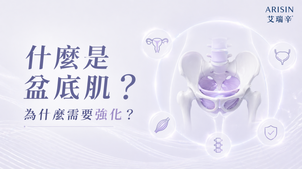 增肌減脂 - 盆底肌強化療程 3 ChatGPT Image 2026年4月24日 下午11 47 14