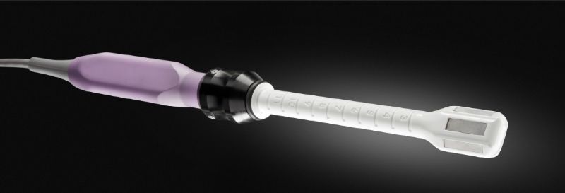 FORMA V 蝴蝶電波4