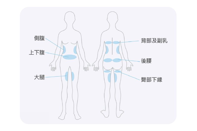 MICOOL-S 冷凍減脂2